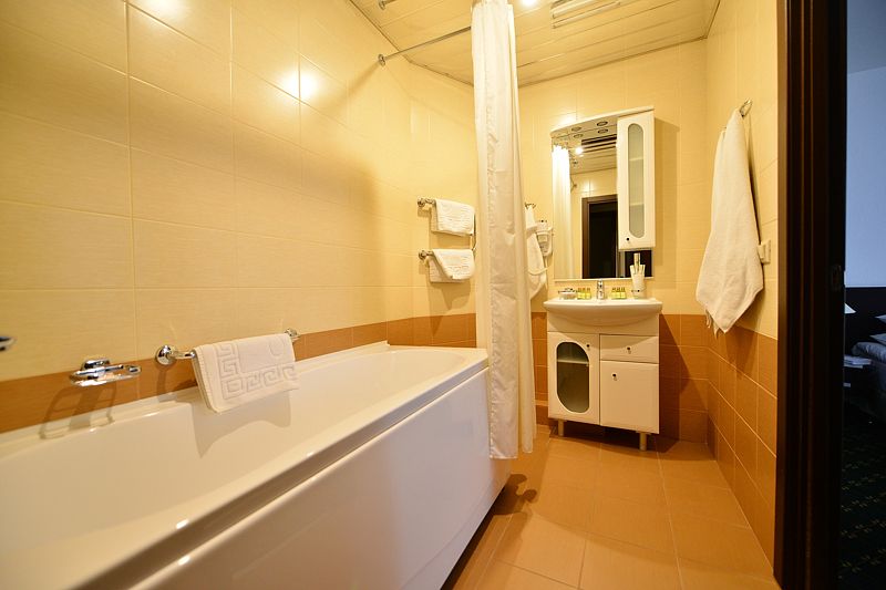 Полулюкс 2-местный 2-комнатный (корпус 1, вид на лес)