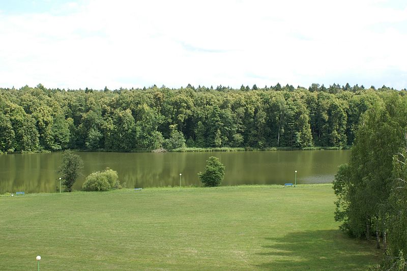 Стандарт 2-местный (корпус 1, вид на пруд)