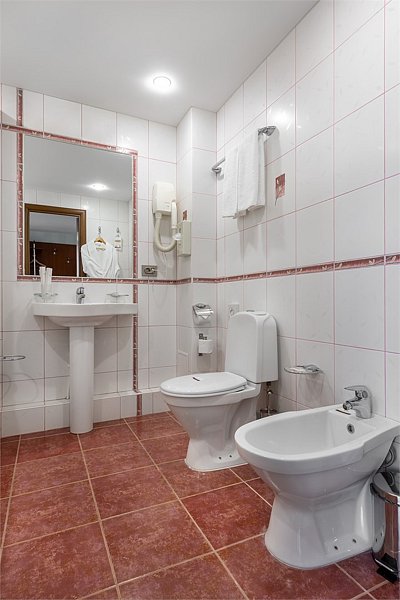 Полулюкс 2-местный