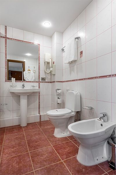 Полулюкс 2-местный