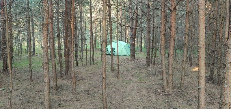 Мыльцевский Бор, Тверская область: фото 4