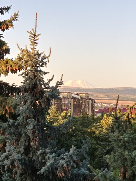 Фото 7 из отзыва о санатории Вернер