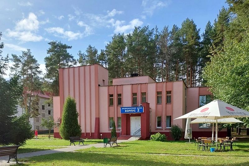 Пралеска, Минская область: фото 2