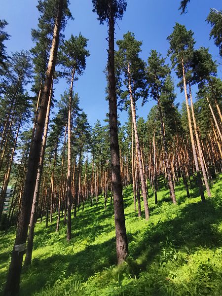 Фото 6 из отзыва о санатории Катунь