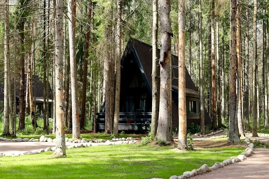 VIEW GA Симагинское озеро, Ленинградская область: фото 2
