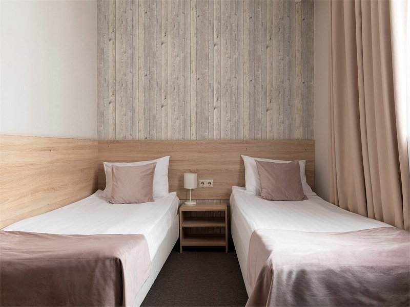 Делюкс 2-местный (TWIN)