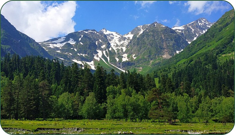 Green Forest Arkhyz, Республика Карачаево-Черкесия: фото 3