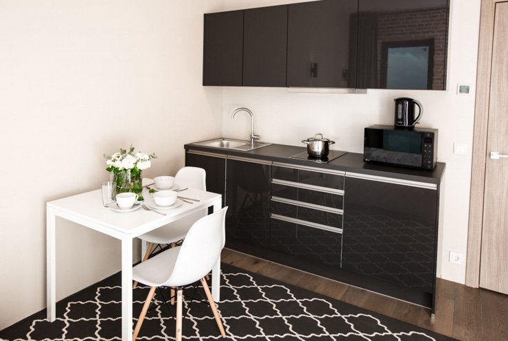 Студио 2-местный 1-комнатный (вид на Неву)