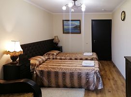 Стандарт 2-местный 1-комнатный DBL, Санаторий Старица, Рязань