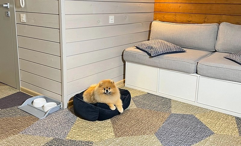 Pet Townhouse 4-местный 2-комнатный
