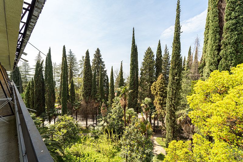 Люкс 3-местный