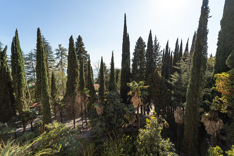 Улучшенный 2-местный