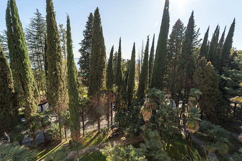 Улучшенный 2-местный