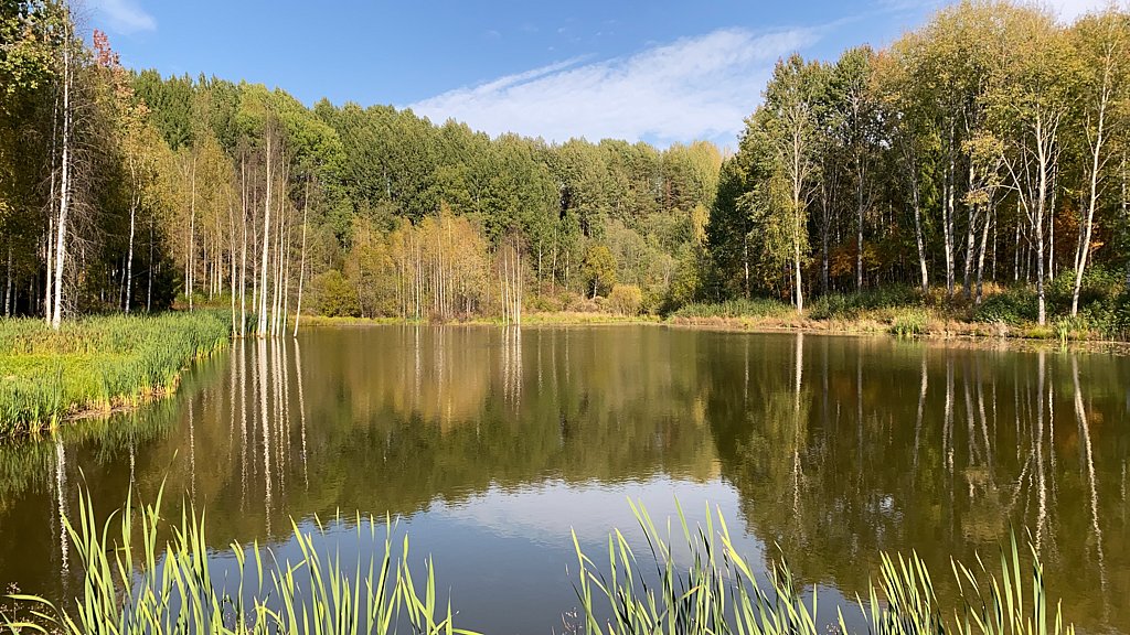 Фото из отзыва от 06.09.2024