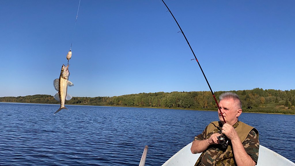 Фото из отзыва от 06.09.2024