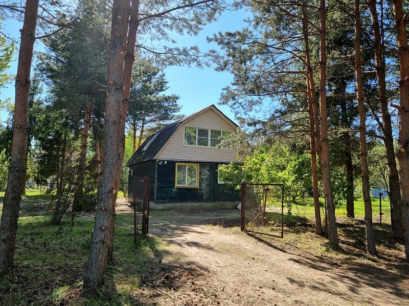 Паруса, Рязанская область: фото 3