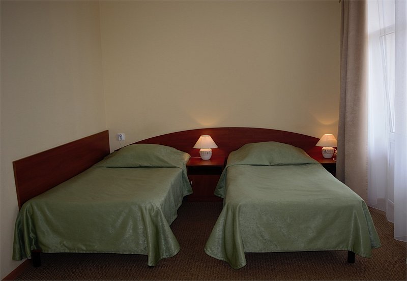 Стандартный 2-местный 1-комнатный (с видом на парк, корпус 2,4)