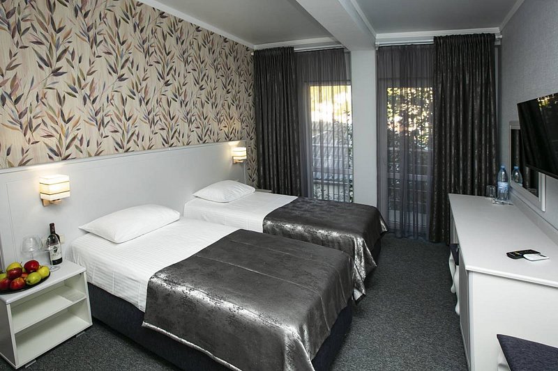 Стандартный 2-местный (вид на горы, Новый корпус)