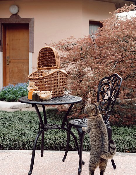 Коттедж Апартаменты 5-местный