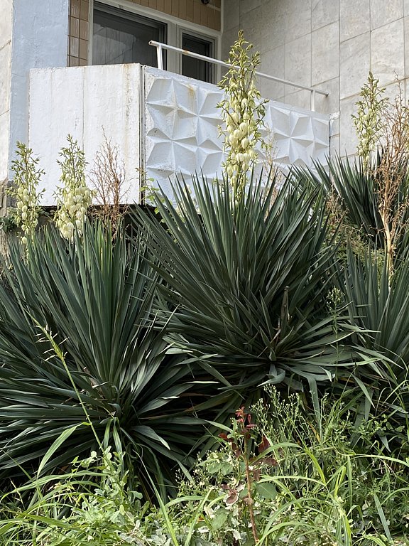 Фото из отзыва от 21.09.2024