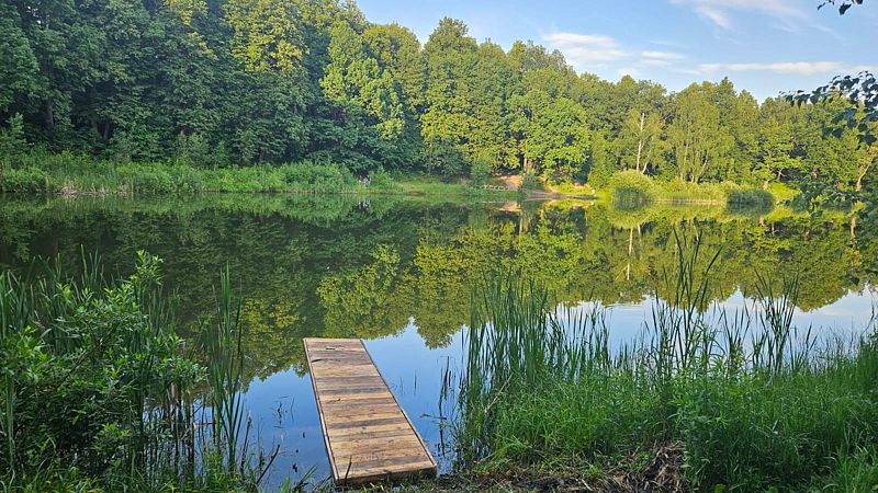 Шишкино Парк, Московская область: фото 3