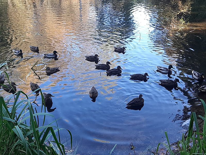 Фото 2 из отзыва о санатории Карачарово