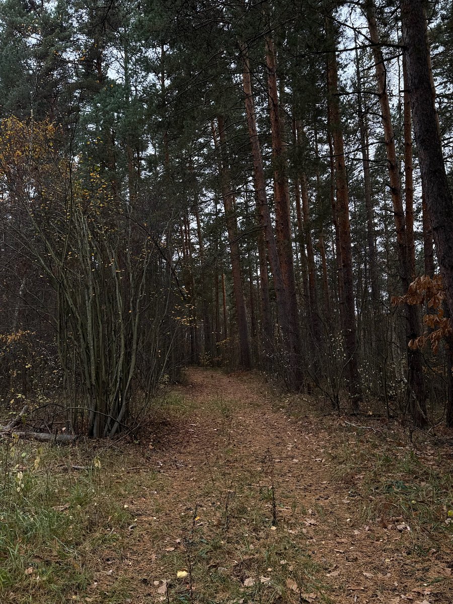 Фото 3 из отзыва о спа-отеле Алсма