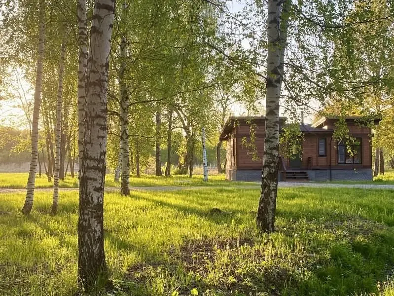 Колкуново, Тверская область: фото 3