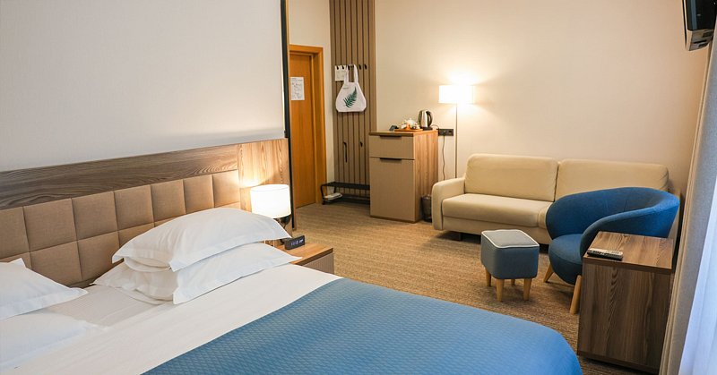 Джуниор Сюит 2-местный (корпус Родник)