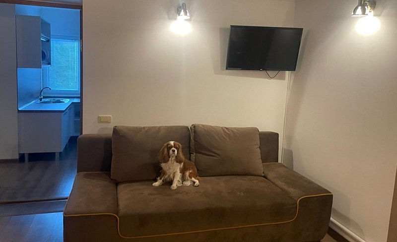 Дом 4-местный 2-комнатный