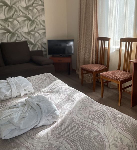 Студия 2-местный