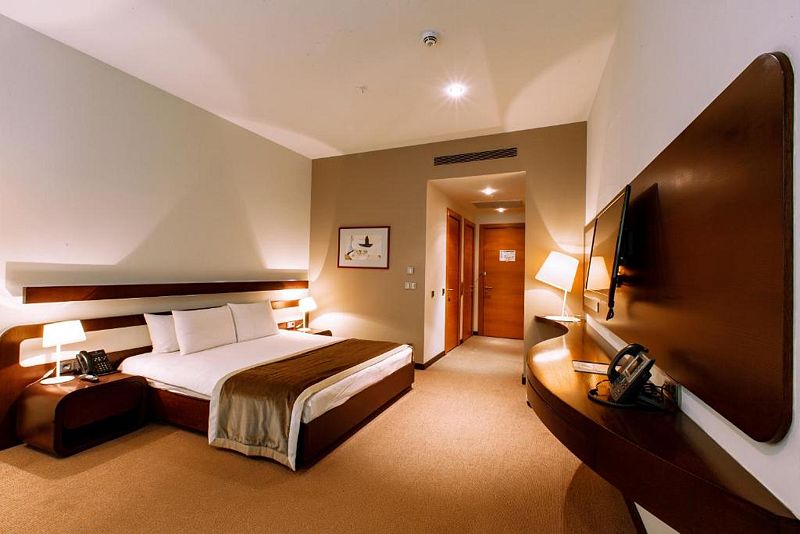 Suite 2-местный 1-комнатный (Leyer)