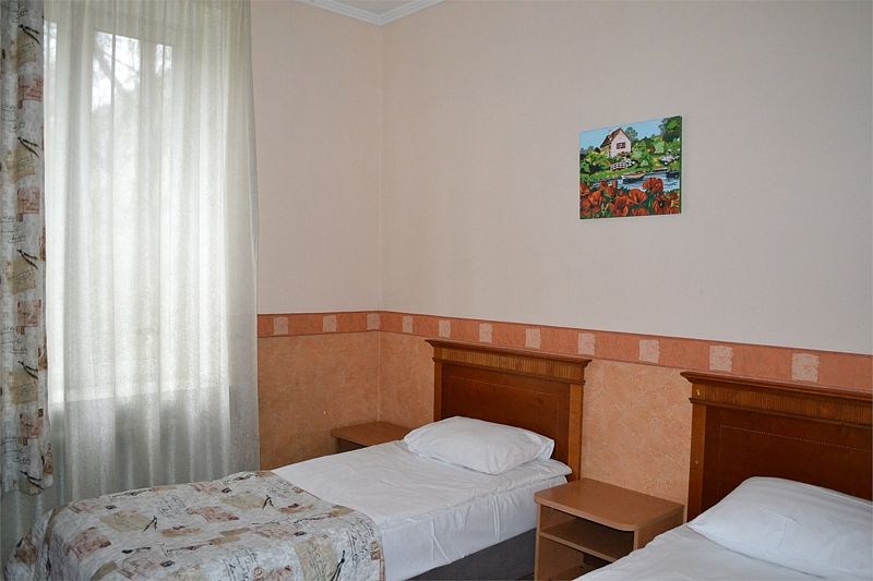 Эконом плюс 2-местный (TWIN)