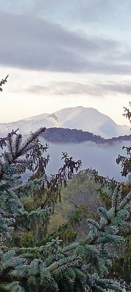 Фото 4 из отзыва о санатории Голубые ели