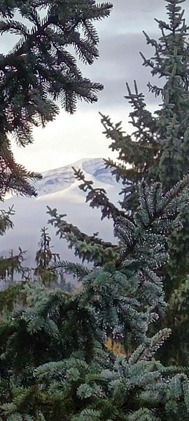 Фото 7 из отзыва о санатории Голубые ели