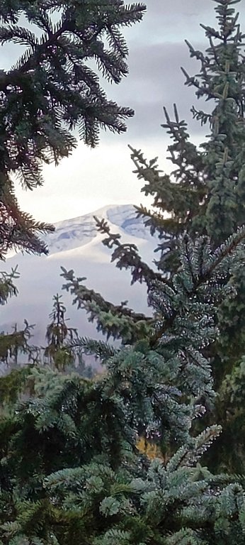 Фото из отзыва от 12.10.2024