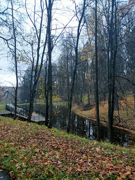 Фото 1 из отзыва о санатории Валуево
