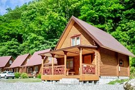 1. Дом с 3 спальнями кухней и гостиной, База отдыха Holiday Park Жоэквара, Гагра