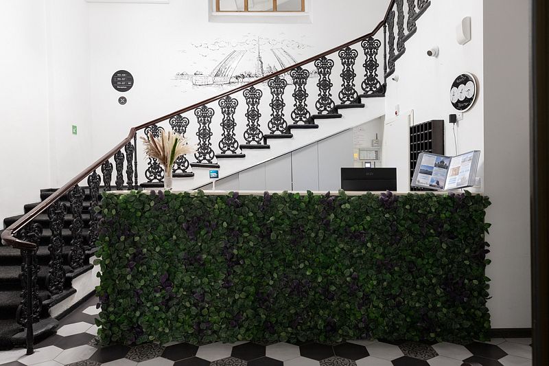 Трио, Ленинградская область: фото 3