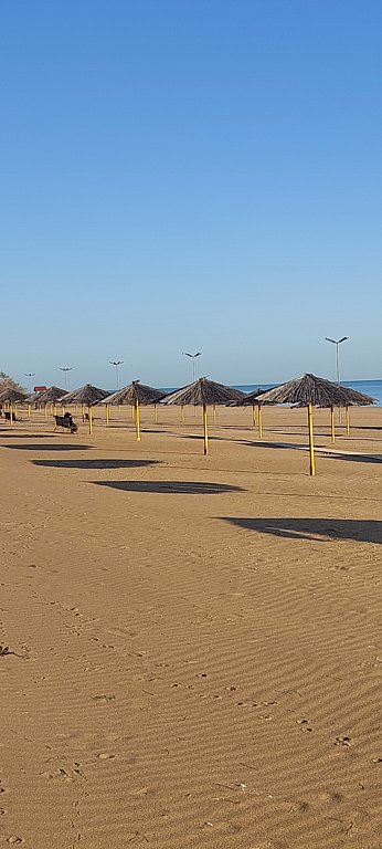 Фото из отзыва от 29.10.2024