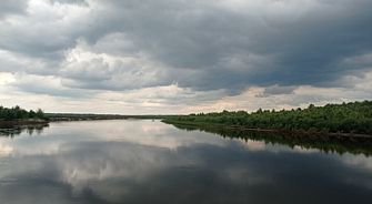 Река Десна, лето