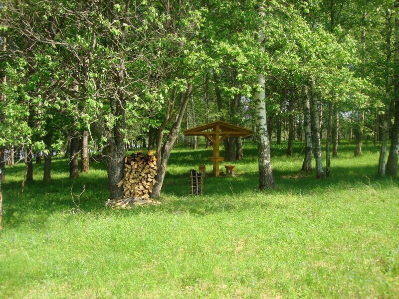 Дальний кордон, Калужская область: фото 5
