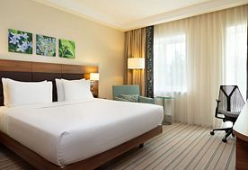 2-мест. Standart (queen size bed), Отель Hilton Garden Inn Moscow New Riga, Истринский район