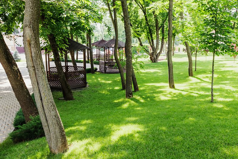 Парк-отель Надежда, Ростовская область: фото 5