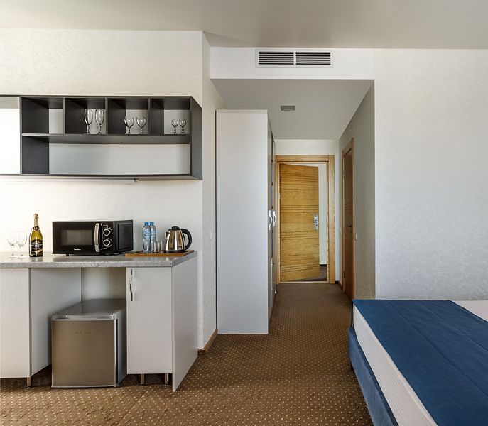 Студио 2-местный (корпус 1)