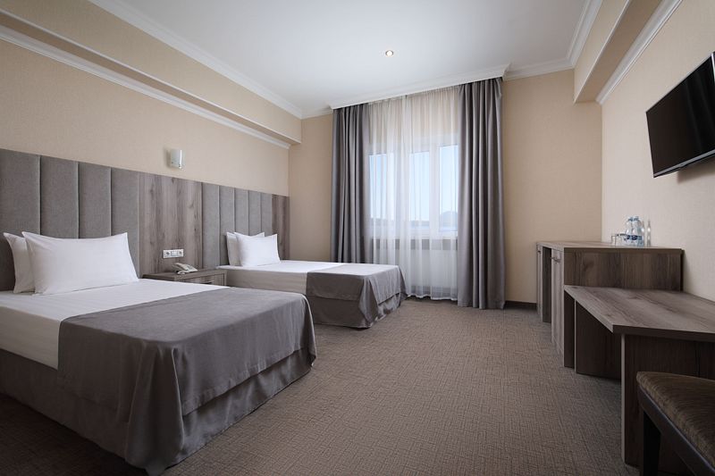 Стандартный 2-местный 1-комнатный (TWIN)