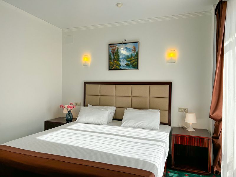 Комфорт 2-местный (TWIN/DBL)