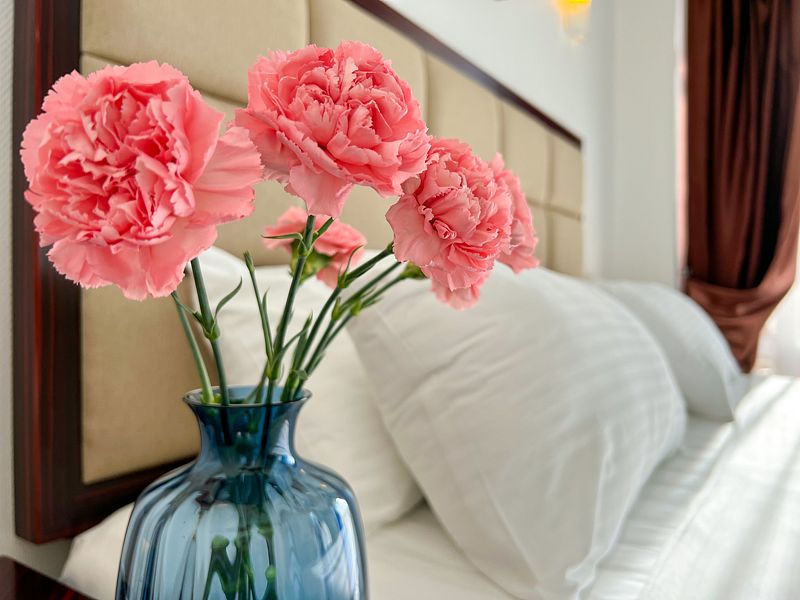 Комфорт 2-местный (TWIN/DBL)