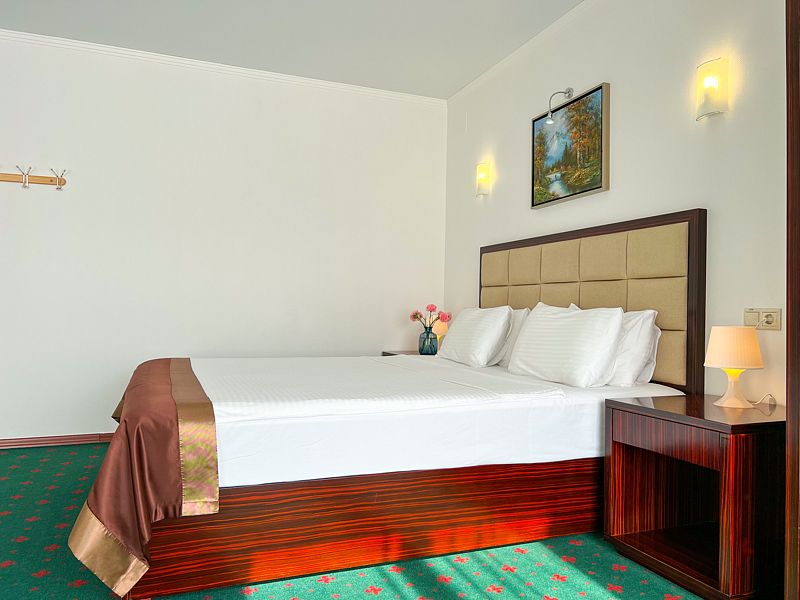 Люкс 2-местный