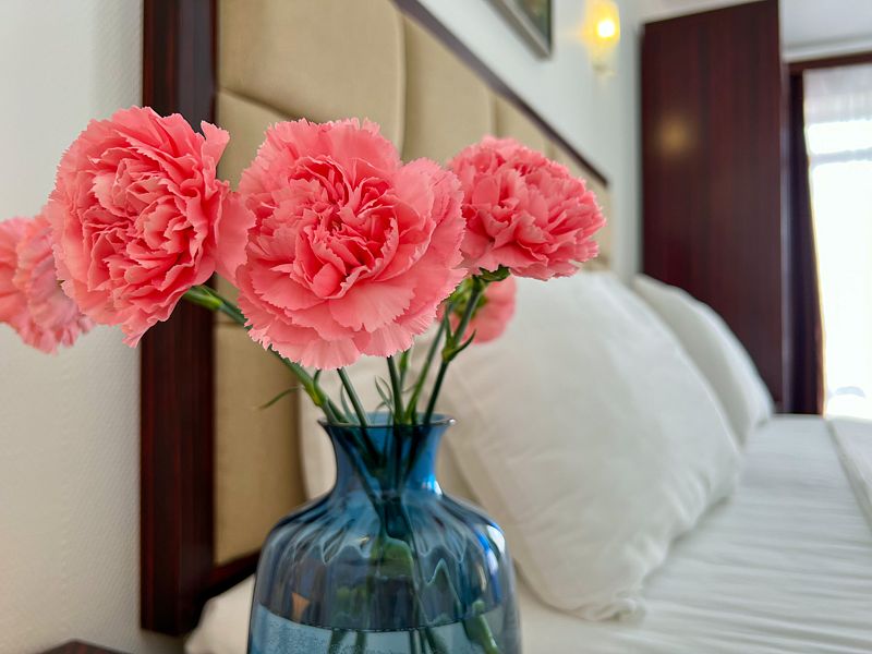 Люкс 2-местный